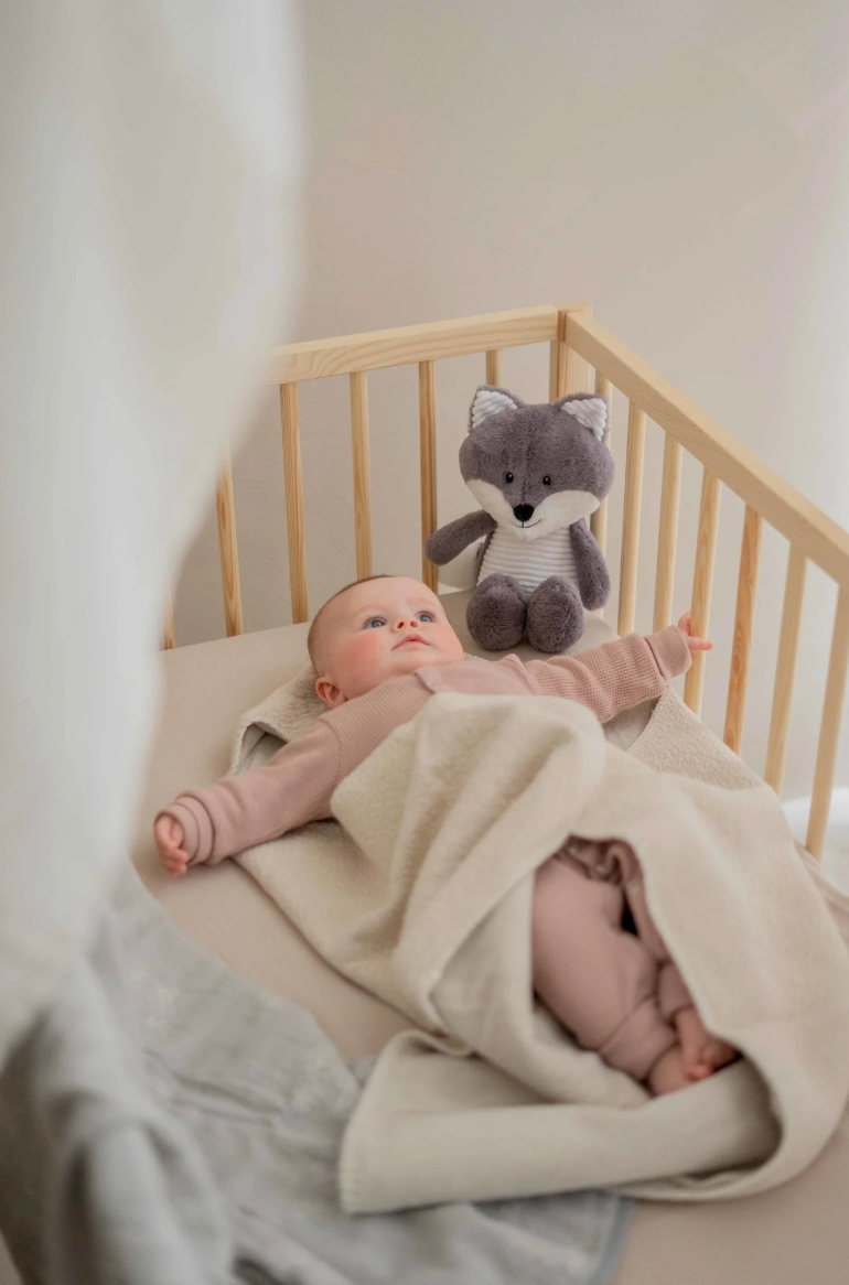 Robin - Doudou au battement de cœur