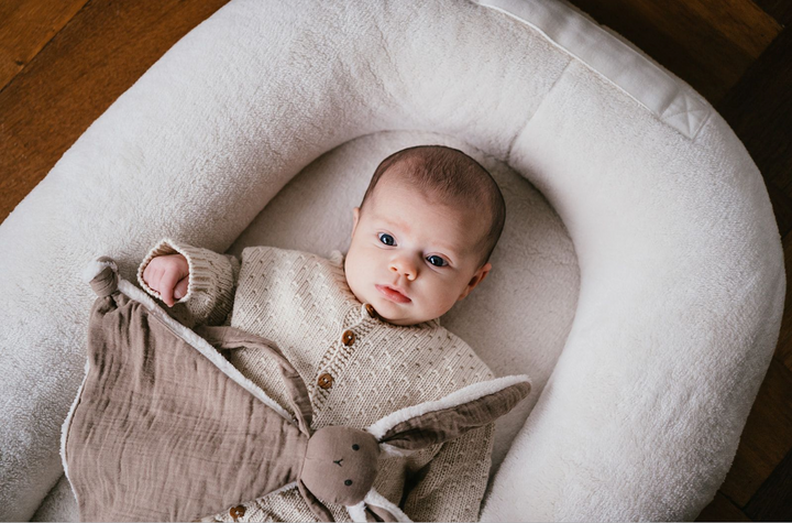 Malmö babynestje